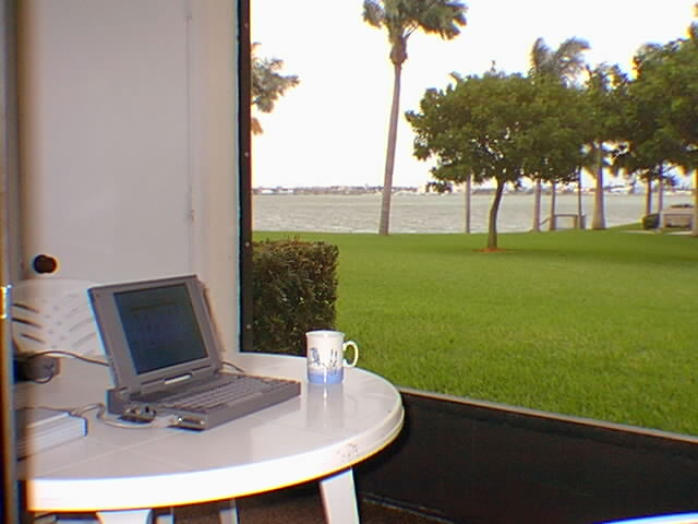 View from the patio